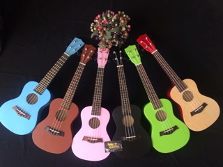 Đàn ukulele Concert