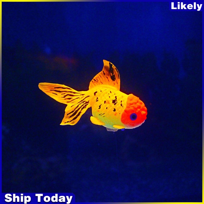 Mô hình cá vàng bằng silicone trang trí bể cá