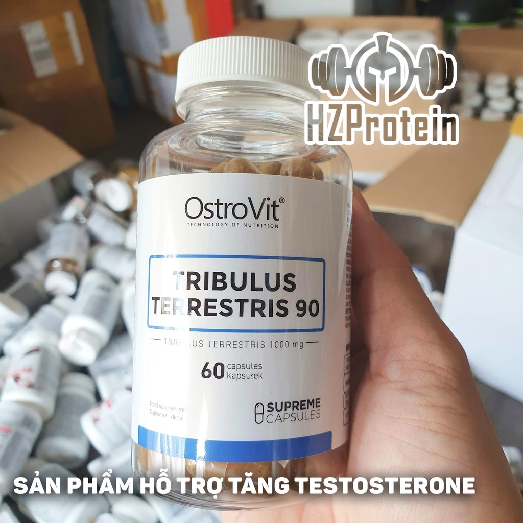 OSTROVIT TRIBULUS TERRESTRIS 90 - THỰC PHẨM TĂNG CƯỜNG SỨC MẠNH CƠ BẮP, KHẢ NĂNG ĐÀN ÔNG CỦA HÃNG OSTROVIT (60 VIÊN)
