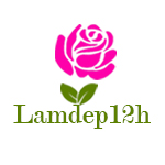 lamdep12h