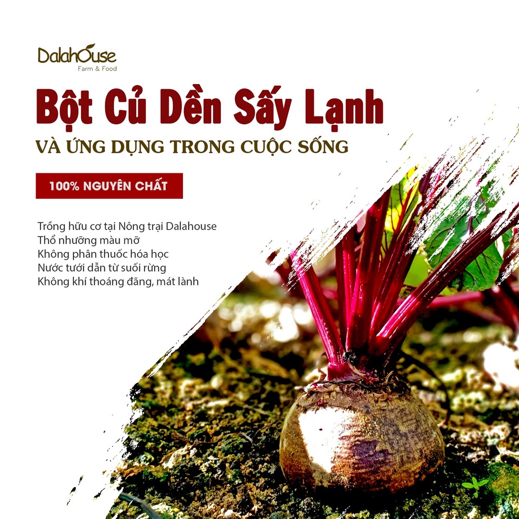 Bột Củ Dền Hữu Cơ Sấy Lạnh Nguyên Chất Dalahouse Lon 120g Phòng Ngừa Thiếu Máu