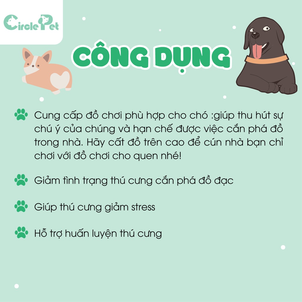 Đồ Chơi Cho Chó Pian Pian Bằng Cao Su Hình Bí Ngô Giúp Làm Sạch Răng - Circle Pet