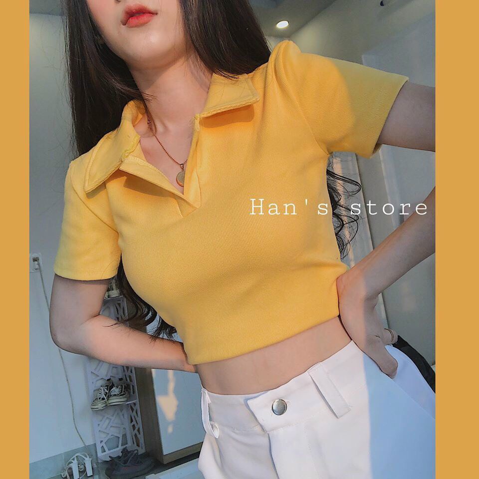 Áo kiểu croptop cổ bẻ polo trơn cực xinh , chất thun bozip mềm mịn