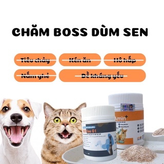 Bệnh giảm bạch cầu ở mèo và cách phòng bằng Beta Amin