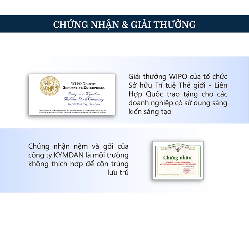 Nệm cao su thiên nhiên Kymdan Massage độ dày 16 / 21 cm