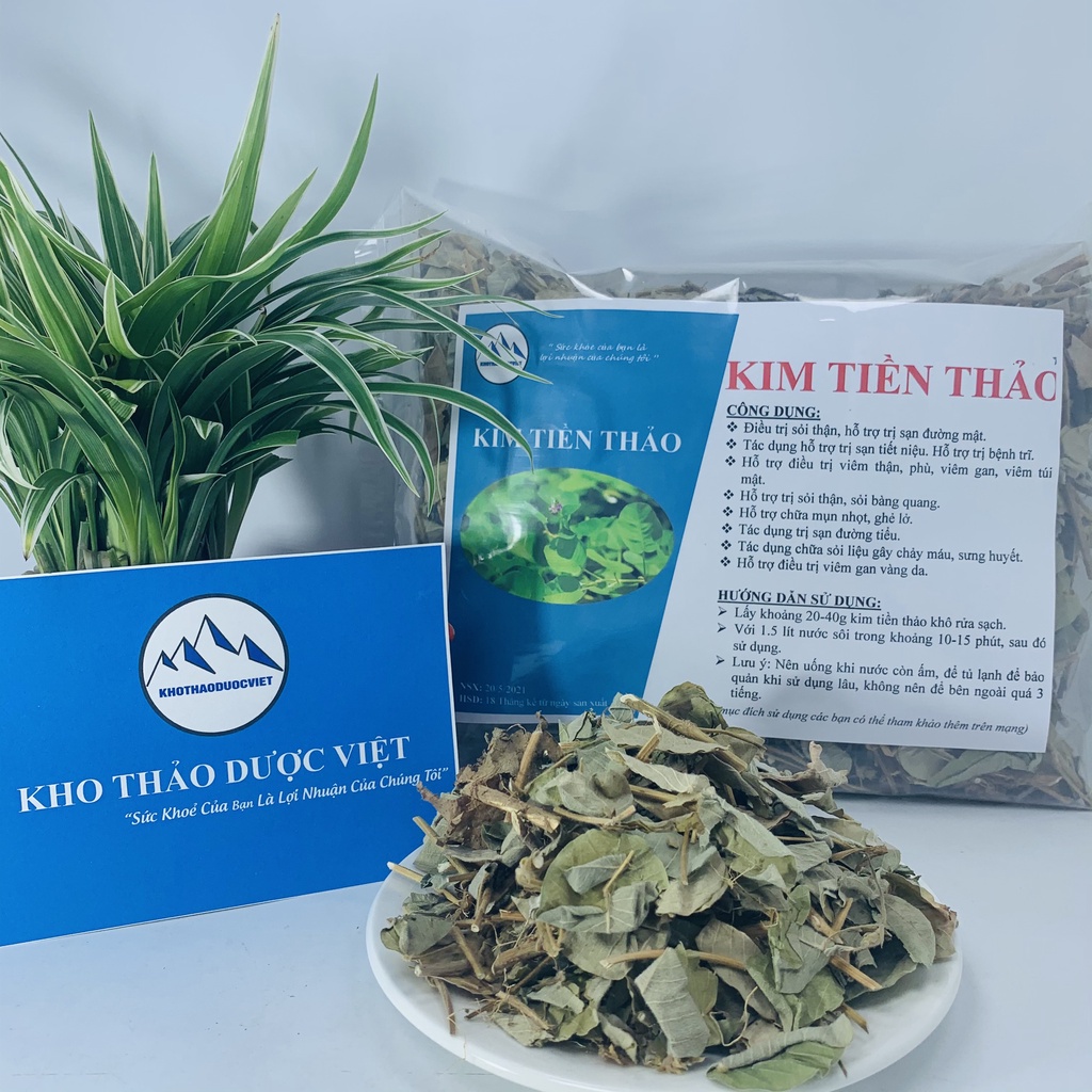 [Video thật] 500g Kim Tiền Thảo (Khô, sạch,đẹp)