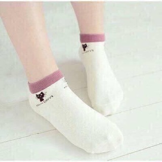 Combo 10 đôi tất  mèo miu