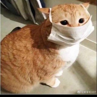 Hàng chất lượng cao đẹp sang nhen