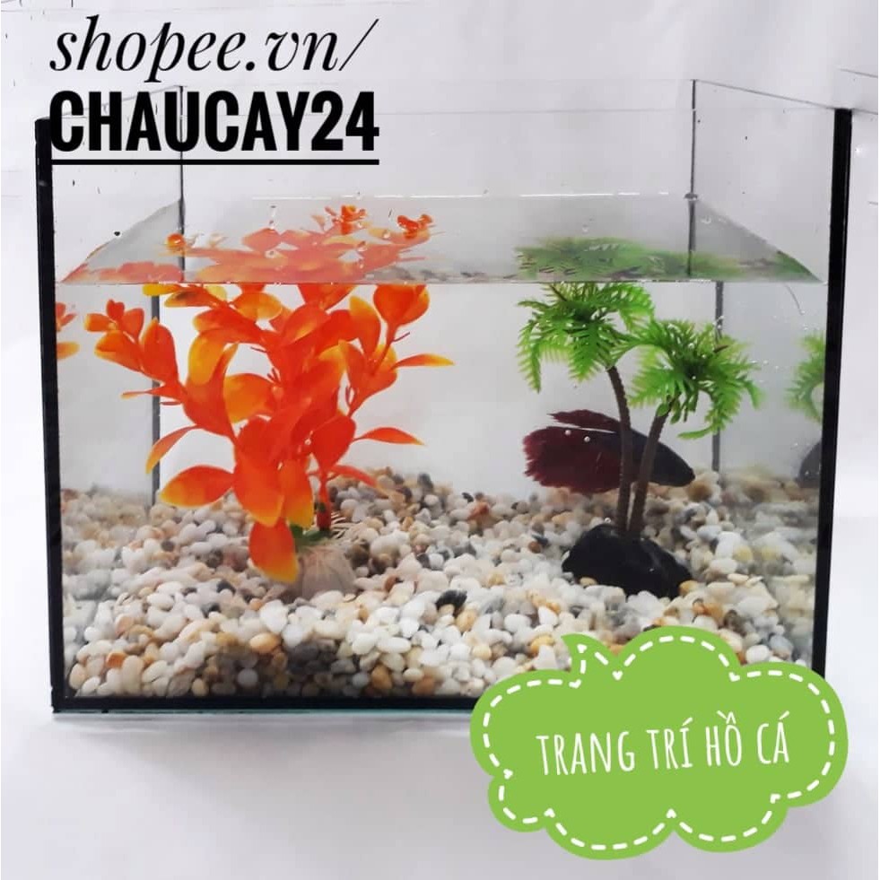 Sỏi dăm trang trí hồ cá, chậu cây cảnh, tiểu cảnh terrarium