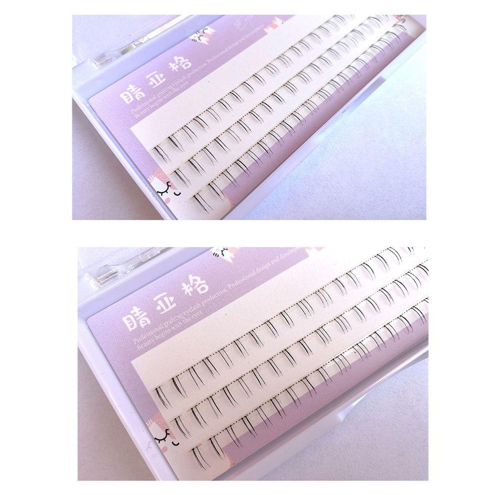 Hộp 60 Cụm Lông Mi Giả Nối Dài Tự Nhiên