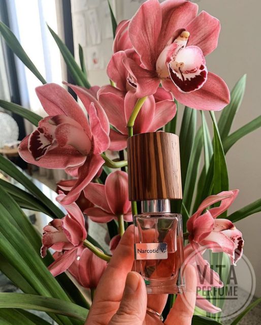 [Mẫu Thử] Nước Hoa Niche Narcotic V by Nasomatto - Tình Dược Của Thần Venus | BigBuy360 - bigbuy360.vn
