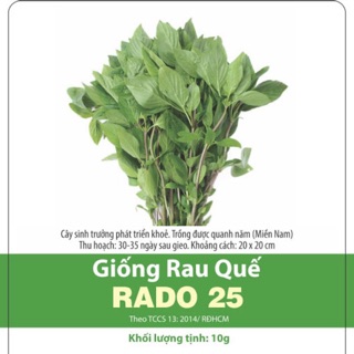 Hạt Giống Rau Quế 25 (10gr)