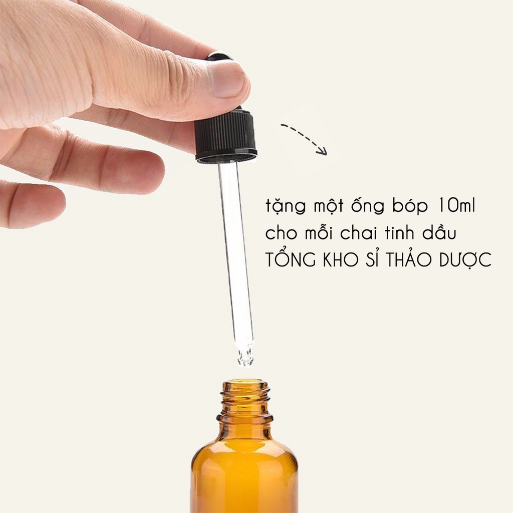 Tinh dầu Húng Quế 20ml, giảm đau đầu, cải thiện tuần hoàn máu, giúp ngủ ngon, đuổi muỗi, côn trùng.