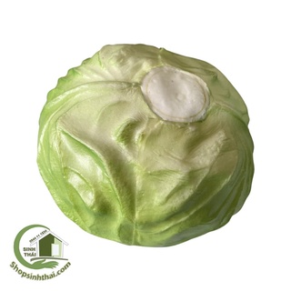 Bắp cải giả màu tím và xanh trắng - rau củ quả giả cao cấp - Chọn loại