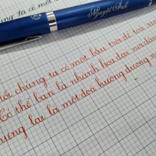 Bút mài thầy Ánh 036