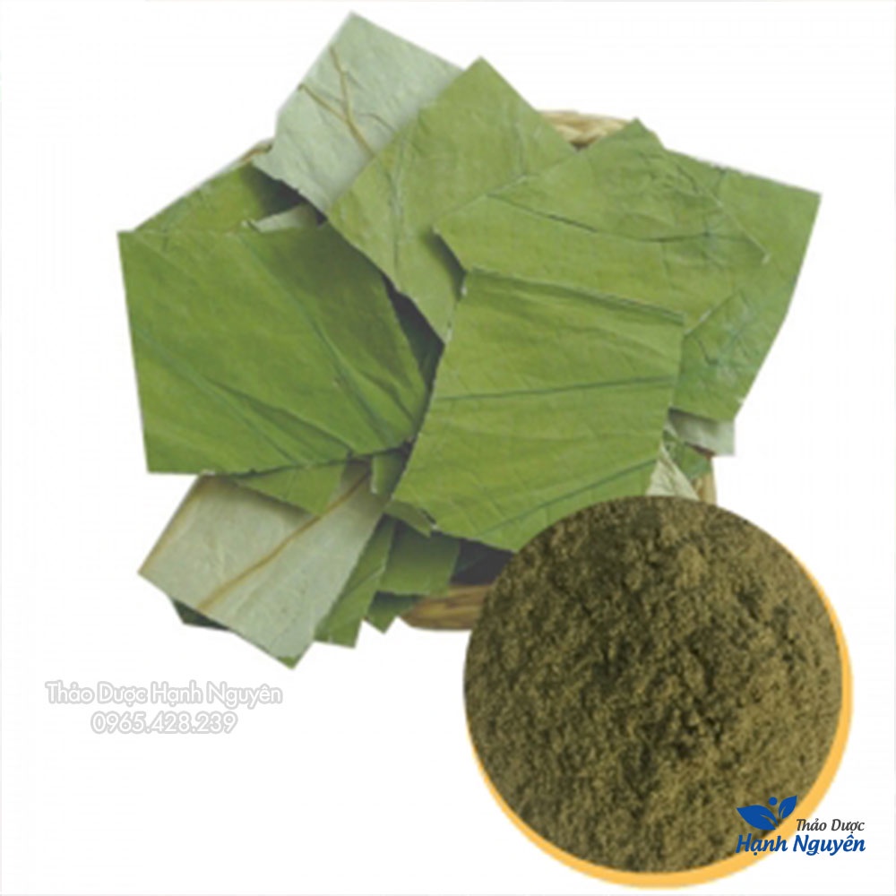 Bột lá sen nguyên chất 1kg (An thần, hỗ trợ giảm cân, hạ mỡ máu) - Thảo Dược Hạnh Nguyên