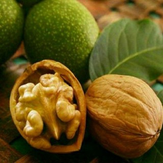 QUẢ ÓC CHÓ RANG TẨM VỊ.