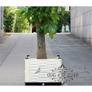 [MẪU ĐẸP ] Chậu ghép trồng RAU - Trồng HOA-  trồng CÂY nhiều kích thước