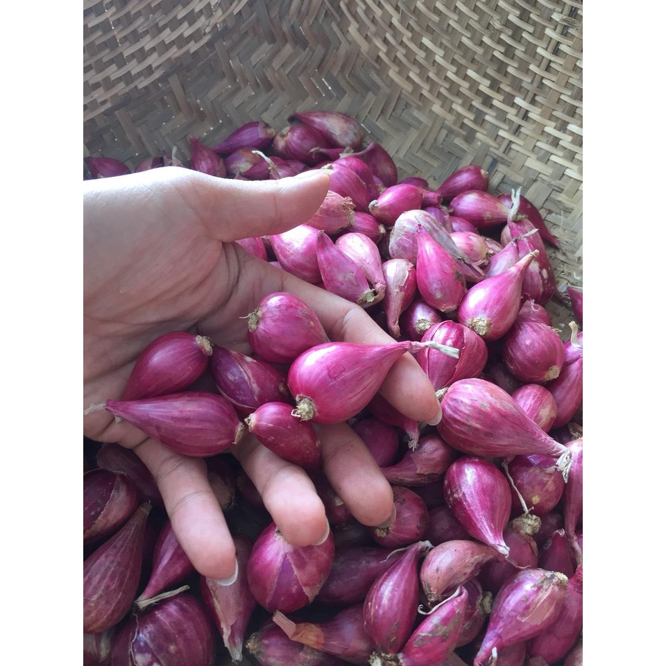 Hành tím và tỏi Lý Sơn .