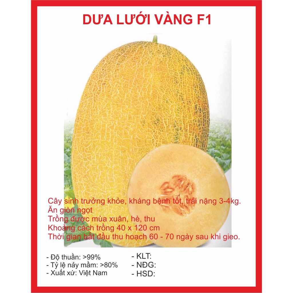 ( BOK GARDEN ) HẠT GIỐNG DƯA LƯỚI VÀNG 10 HẠT
