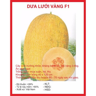 [HẠT GIỐNG GREEN]  Hạt giống Dưa Lưới Vàng 10 Hạt
