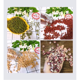 500gram các loại đậu sạch quê