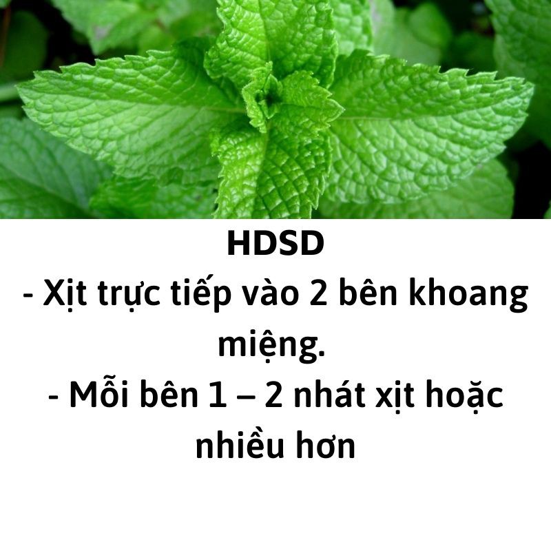 Xịt thơm miệng thảo dược Thông cát- hiệu quả cho giao tiếp