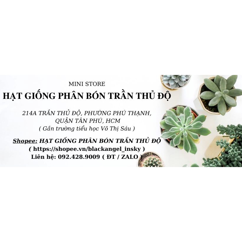 [ GIAO HỎA TỐC ] TRỪ KIẾN GIÁN TGK BIO