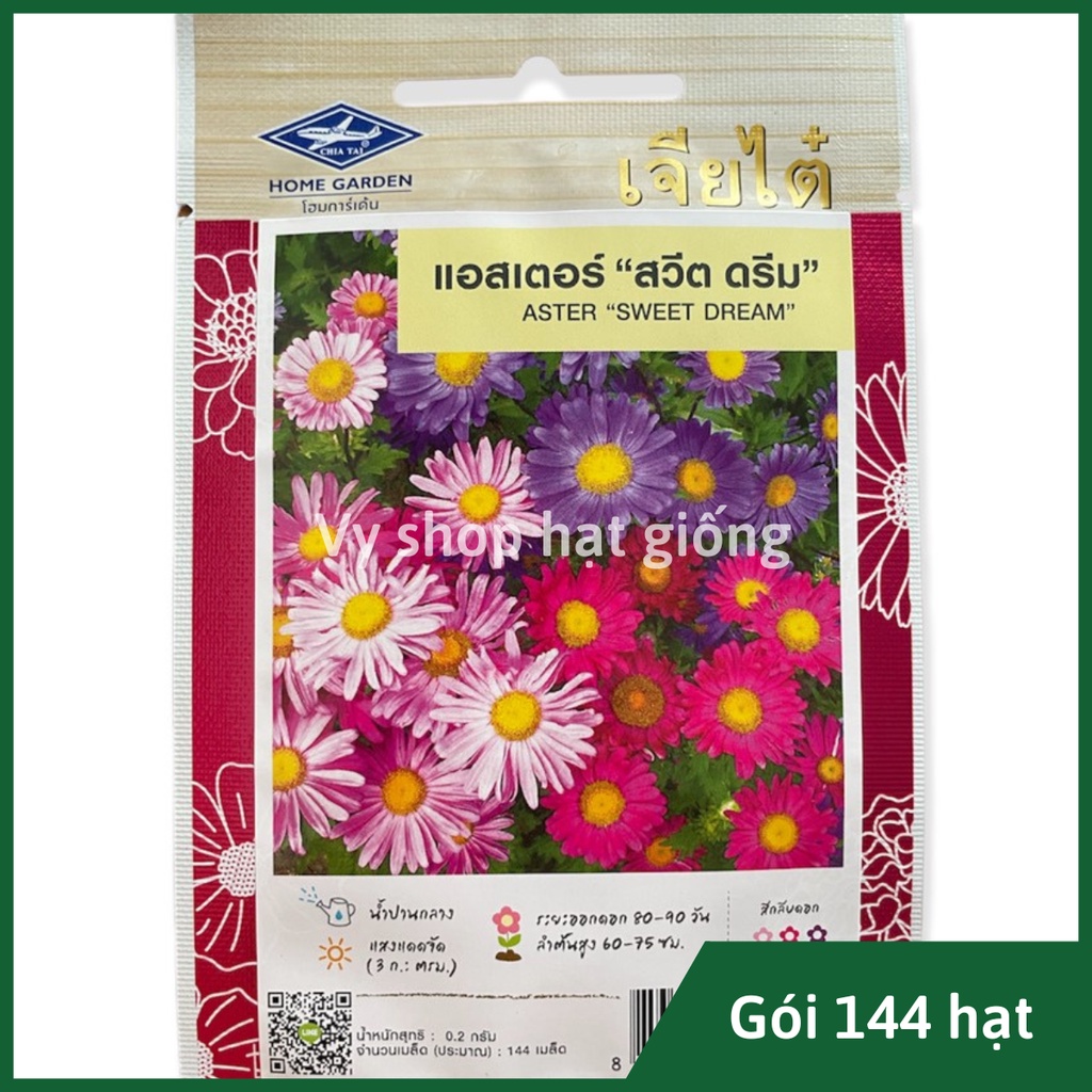 Hạt giống hoa cúc magic Thái Lan gói 144 hạt mix màu