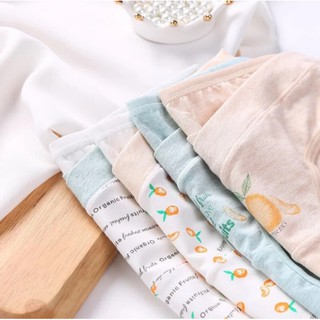[ TÚI ZIP 4 ] QUẦN LÓT BÀ BẦU CẠP CHÉO CAO CẤP