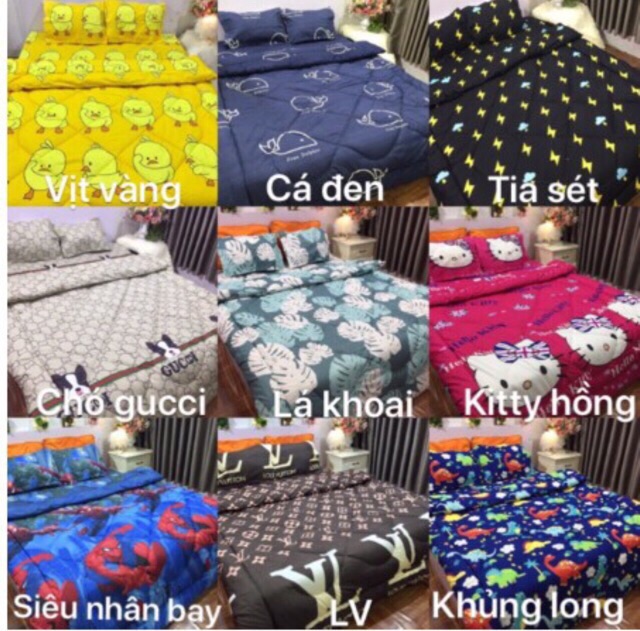 Bộ drap 3 món ga chun +2 vỏ gối đầu