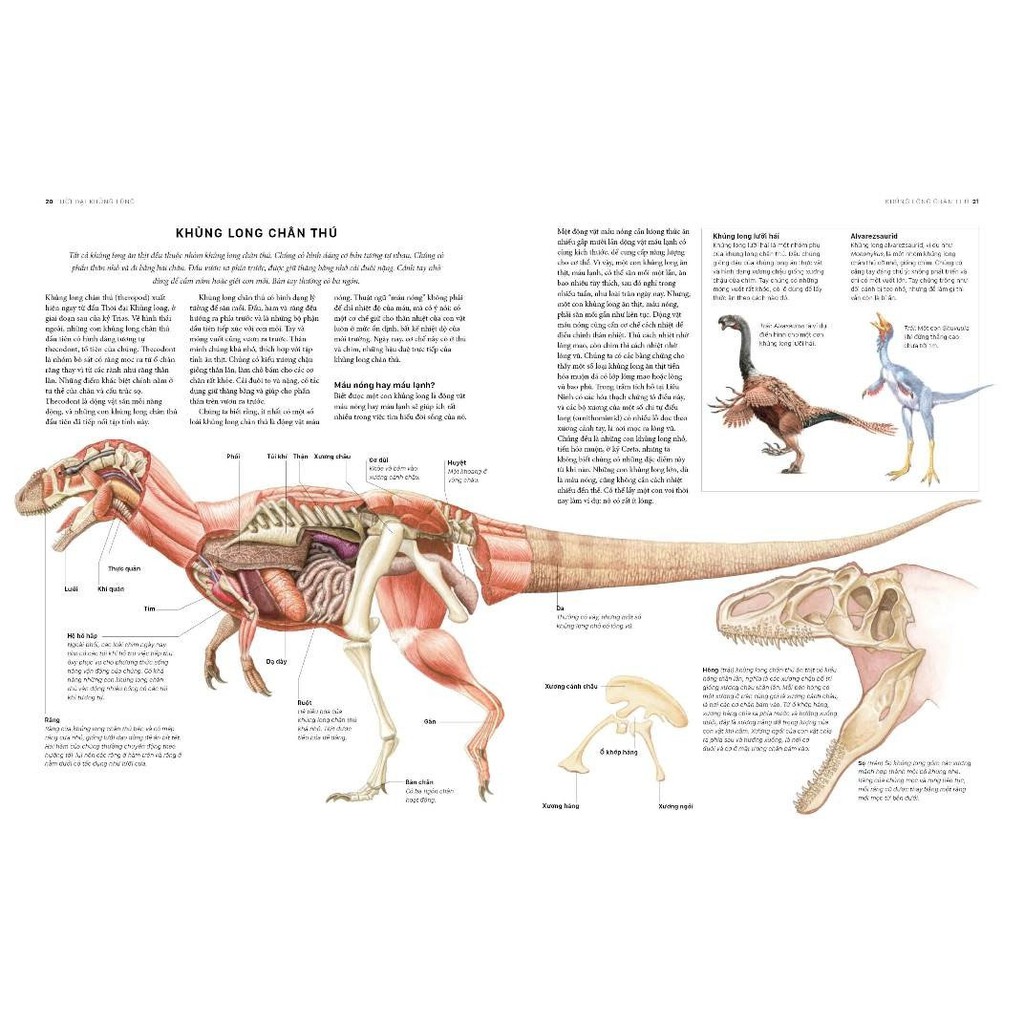 Sách - Bách Khoa Khủng Long Toàn Tập