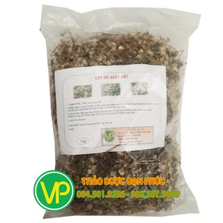 cây nở ngày đất cao cấp 1kg