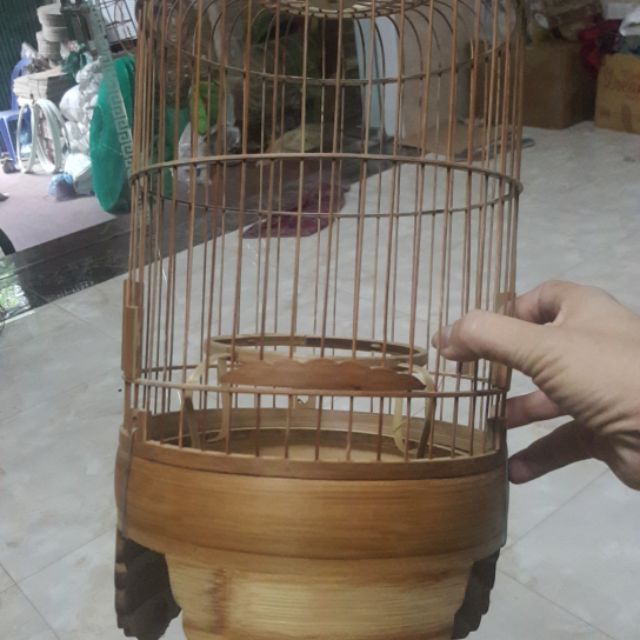 Lồng khuyên
