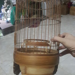 Lồng khuyên