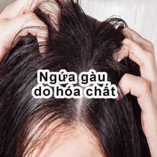 Dầu gội bồ kết