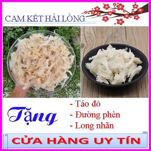 Chân Yến Sào Rút Lông 5gr Tặng kèm táo đỏ, đường phèn, hạt chia. Chân Yến Rút Lông Sạch