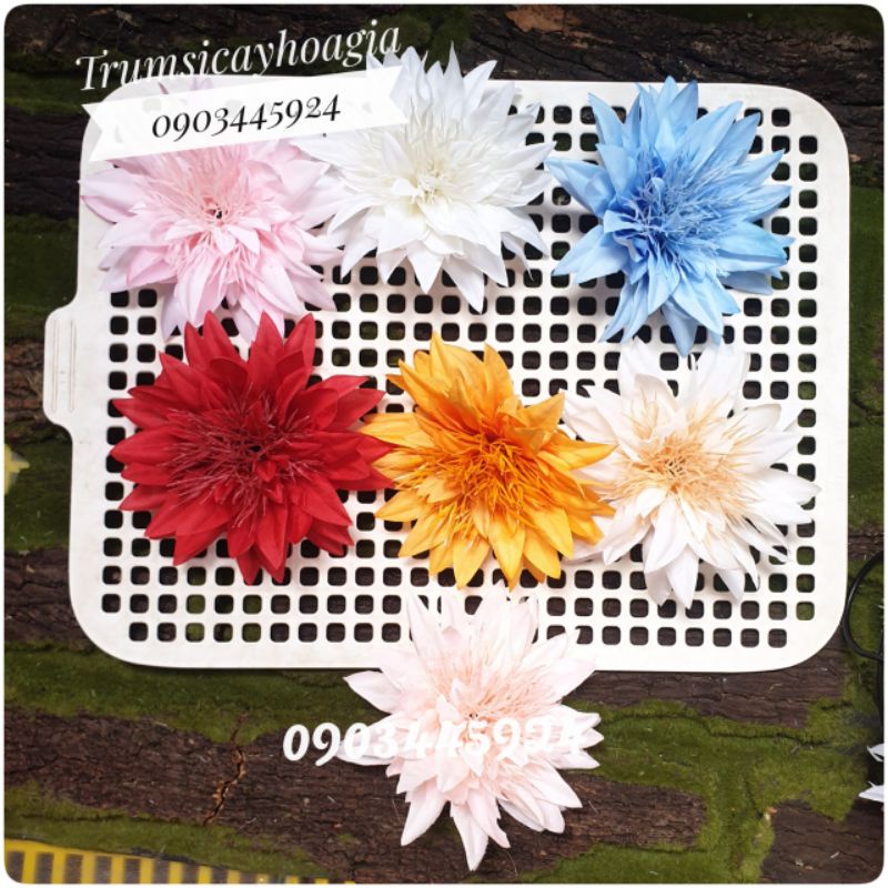 Đầu bông cúc râu siêu to size 13cm.Trang trí tháp oản,bánh.