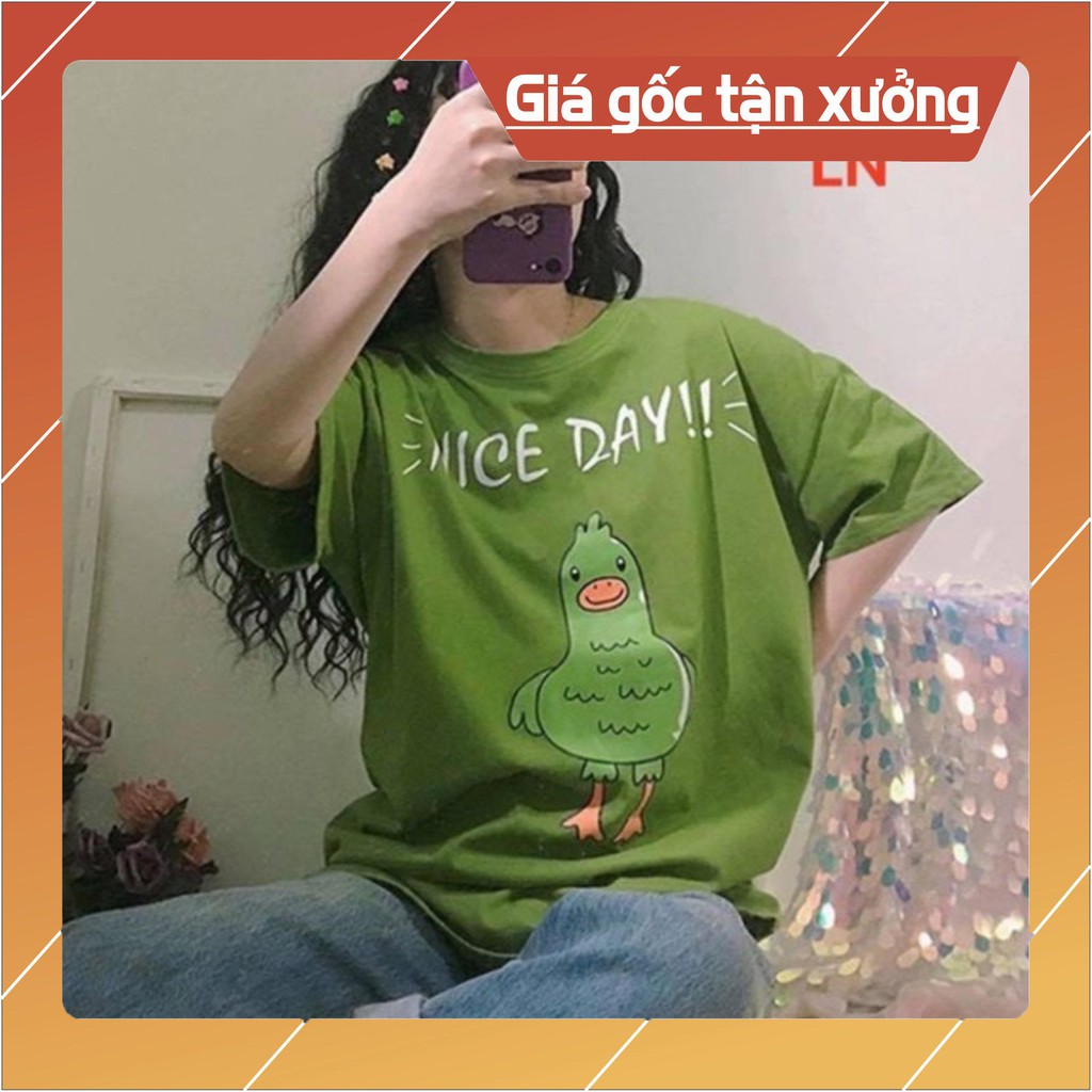 Áo vịt niceday LN12