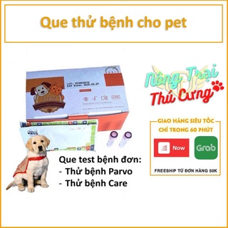 (1 que) Test bệnh parvo chó que thử bệnh pravo chó