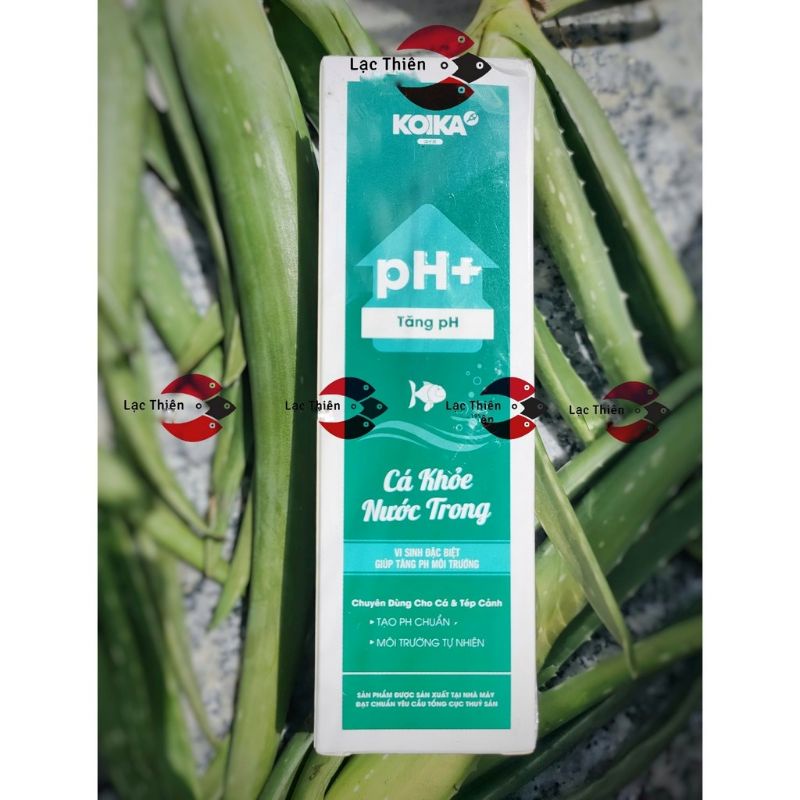 Vi Sinh Koika PH+ Tăng PH Trong Bể Cá