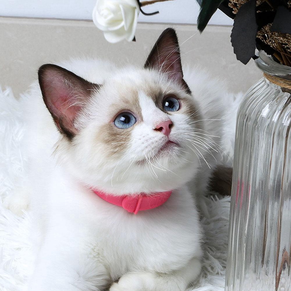 Vòng Cổ Chống Bọ Chét Cho Thú Cưng