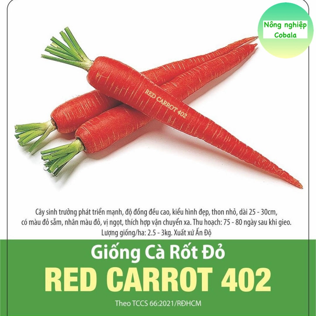 Hạt Giống Cà Rốt Đỏ (402) 5gr