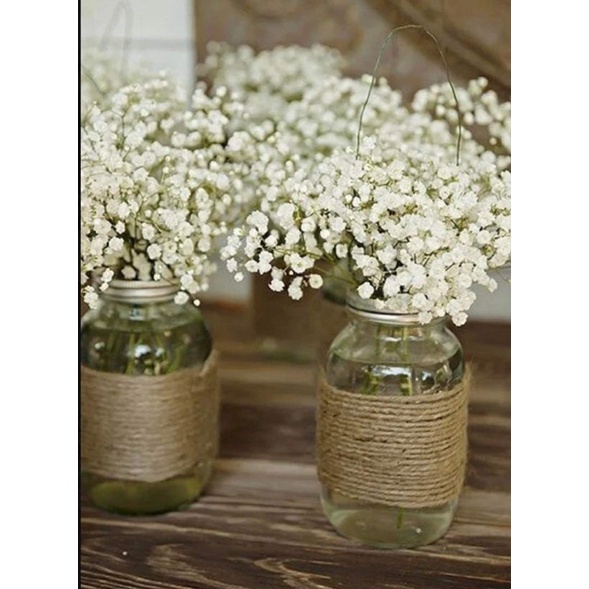 Dây cói cuộn/ren/cói