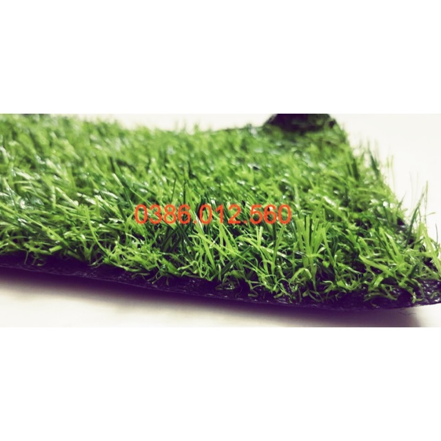Thảm cỏ nhân tạo trải nền 2cm- combo 5m2(2x25)m