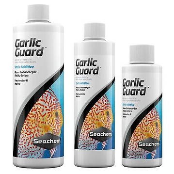 HỖ TRỢ TIÊU HÓA SEACHEM GARLIC GUARD 100ml 250ml