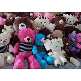 Gấu bông Teddy 80cm