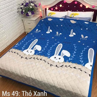 Sét ga gối + chăn hè poly - hàng loại 1