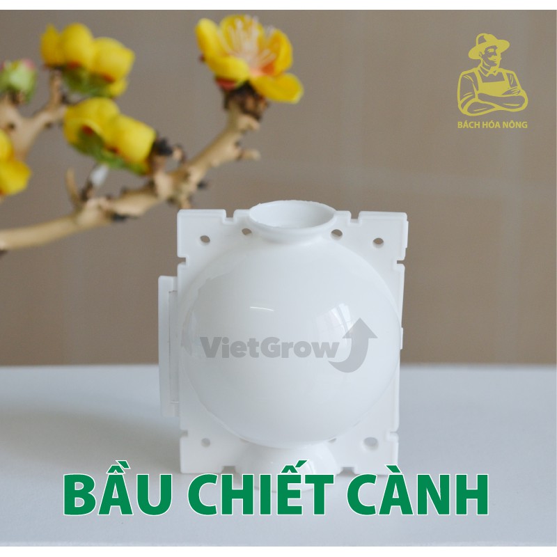 Combo 3 Bầu chiết cành Croco - Ghép Giống Rễ Cây Nhân Giống Có Thể Tái Sử Dụng Bằng Nhựa Màu Trắng