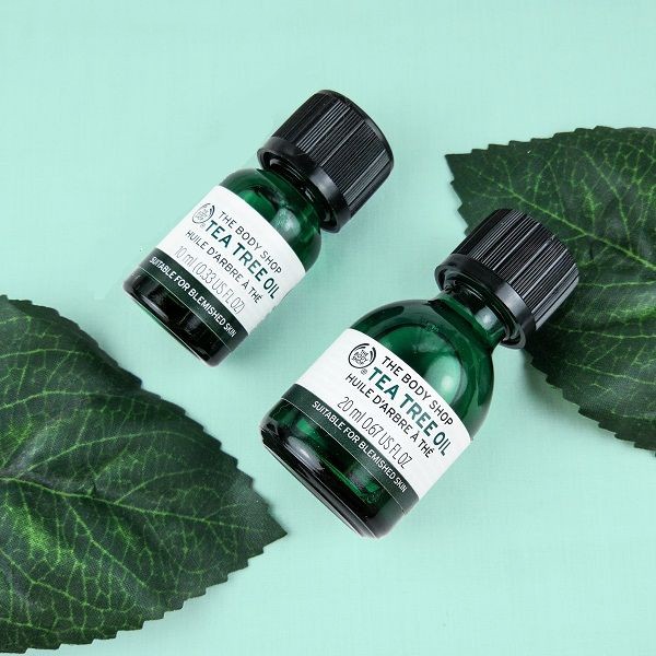 Tinh Dầu Tràm Trà Giảm Mụn - The Body Shop Tea Tree Oil [10ml & 20ml] | BigBuy360 - bigbuy360.vn